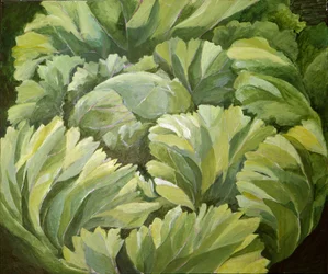 Kohl, 2013