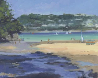 Salcombe Millbay Morgen