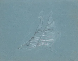 Herrenweste aus Seide, Studie zum Porträt von Jean-Alphonse Turrettini