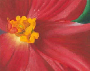 Lebendige rote Blüte