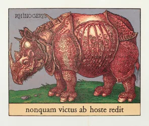 Rotes Nashorn, 2007