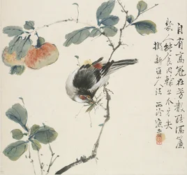Ein chinesischer Hwamei, der eine Heuschrecke frisst, 1857