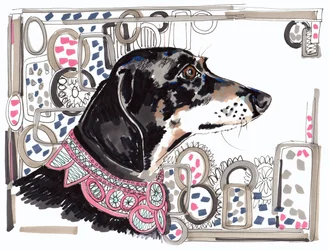 Lacey, der Dackel, 2013