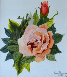 Rosa Rose und Knospe