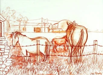 Serenade, Janie und ein Esel auf der Wiese