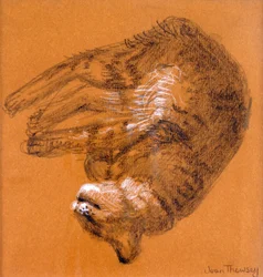 Schlafende getigerte Katze, 2005