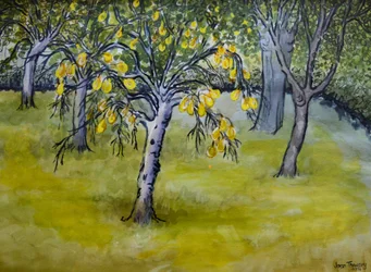Der kleine Birnbaum, 2005