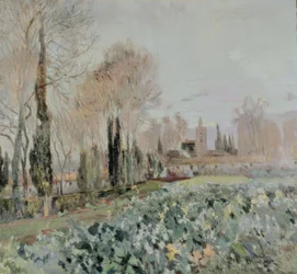 Landschaft