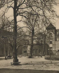 Unter den Ulmen im Hof des Middlesex Hospital, um 1935