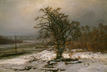 Eiche an der Elbe im Winter