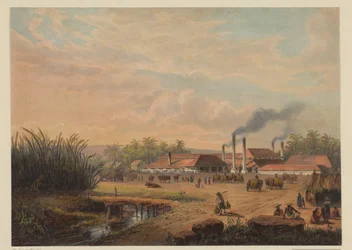 Ansicht der Zuckerfabrik in Pangka