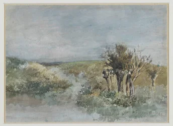 Landschaft mit Kopfweiden entlang eines Grabens