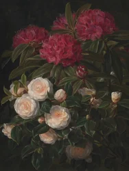 Kamelien und Rhododendren von Johan Laurentz Jensen