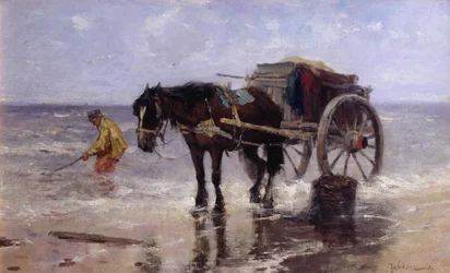 Die Muschelsammlerin