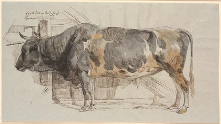 Stehender Stier in seinem Stall
