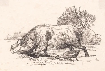 Das Schwein und die Ente