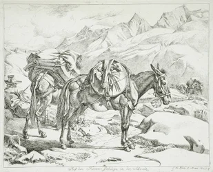 Furkagebirge, Schweiz