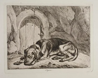 Der Hund Légère