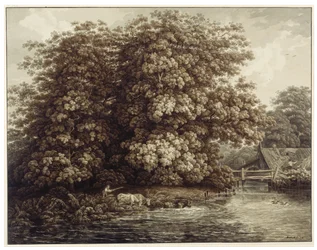 Die Mühle bei den großen Eichen