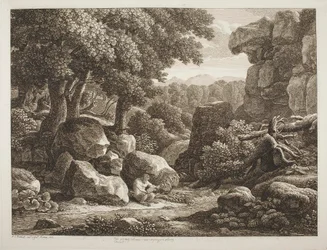 Waldlandschaft
