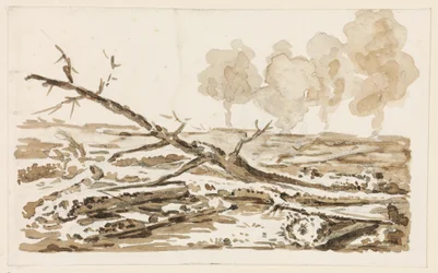 Landschaftsskizze mit Gehölz am Boden