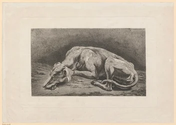 Schlafender Windhund