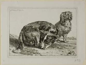 Zwei ruhende Hunde, aus Die Zweite Thierfolge