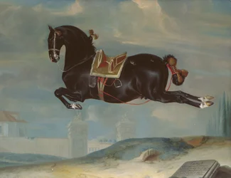 Das schwarze Pferd 