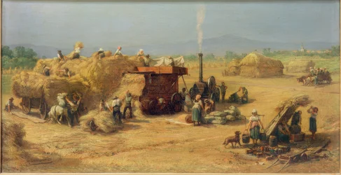 Ernte bei Praunheim