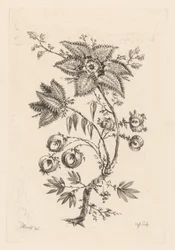 Sternförmige Blumen