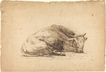 Ein schlafender Stier