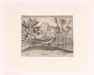 Serie von Drucken mit Blumen und Tieren in einer Landschaft