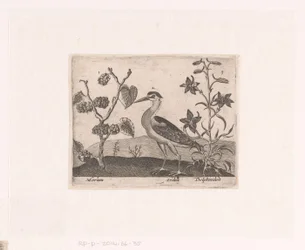 Serie von Drucken mit Blumen und Tieren in einer Landschaft (Landschaften mit Tieren, Pflanzen und Blumen)