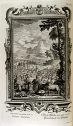 Biblische Schafarten