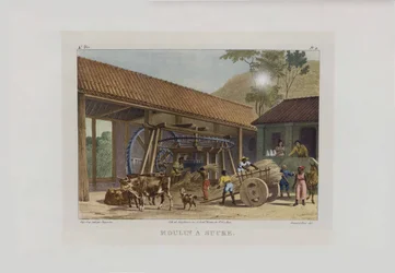 Die Zuckermühle. Aus Malerische Reise in Brasilien, 1830-1835