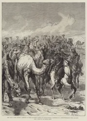 Der Krieg im Sudan, Eroberung von dreihundert Kamelen durch Generalmajor Sartorius bei einer Aufklärung von Souakim