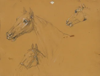 Pferdestudie zu "Erzherzog Karl mit seinem Stab in der Schlacht bei Aspern"