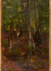 Waldlandschaft