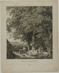 Unter dem schattigen Lindenbaum