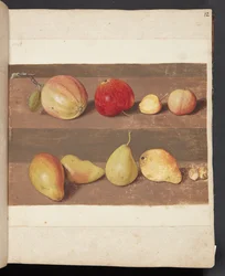Studie von Äpfeln und Birnen