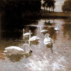 Schwäne auf einem See