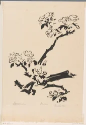 Apfelblüte
