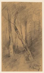 Waldlandschaft bei Wolfheze