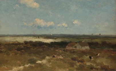 Dünenlandschaft