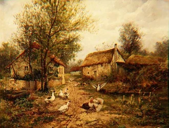 Geflügel an einem Teich in einem Bauernhof