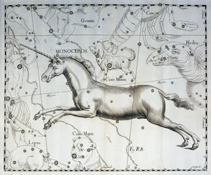 Monoceros, Sternbild des Einhorns, Gravur aus dem Himmelsatlas Firmamentum Sobiescianum sive Uronographia, von Johann Hevelius (1611-1687), Danzig