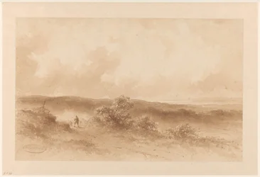 Dünenlandschaft