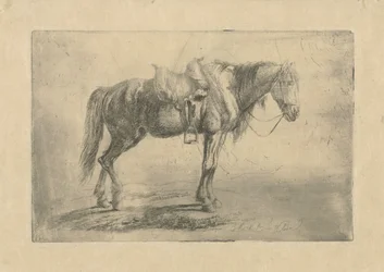 Gesatteltes Pferd nach rechts