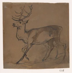 Hirsch