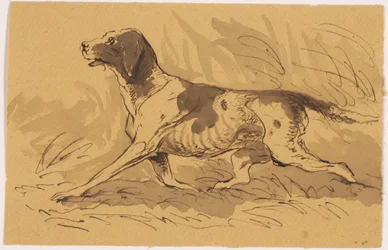 Jagdhund